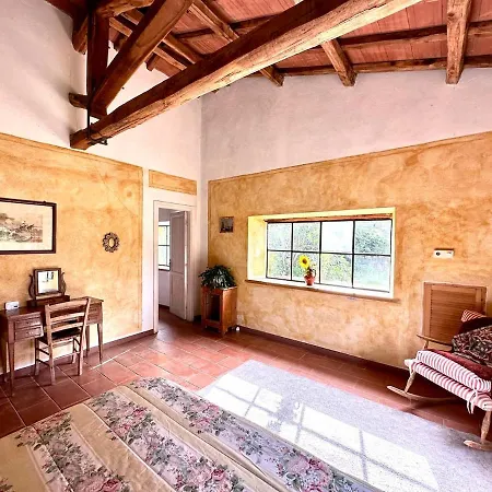 Il Picchio E La Stella