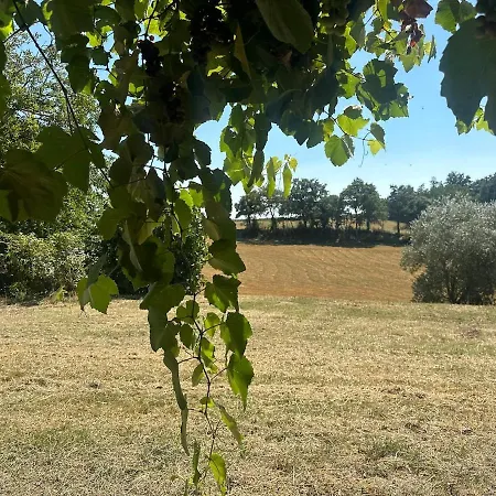 Feriehus Il Picchio E La Stella