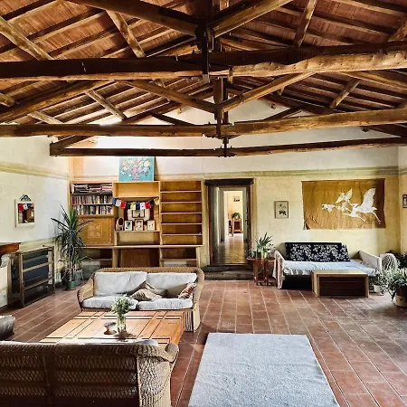 Il Picchio E La Stella Feriehus Bagnoregio