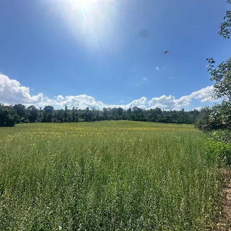 Il Picchio E La Stella * Bagnoregio