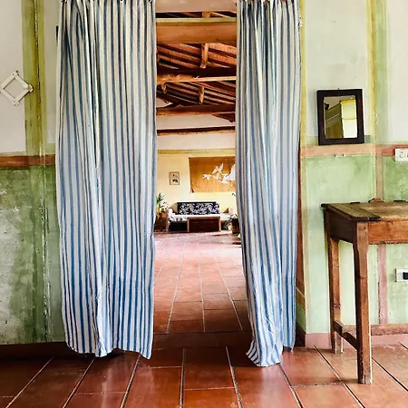 Il Picchio E La Stella *