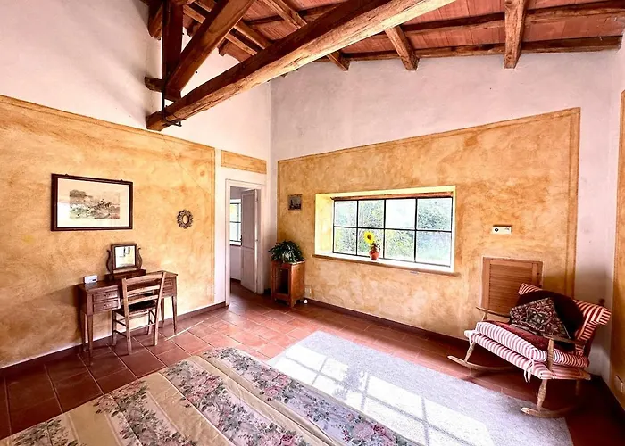 Il Picchio E La Stella