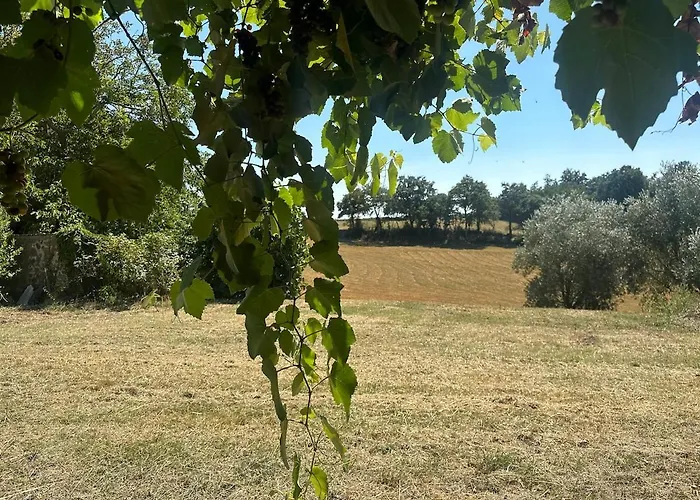 Dom wakacyjny Il Picchio E La Stella