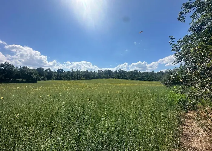 Il Picchio E La Stella * Bagnoregio