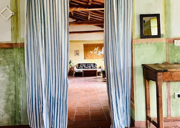 Il Picchio E La Stella *