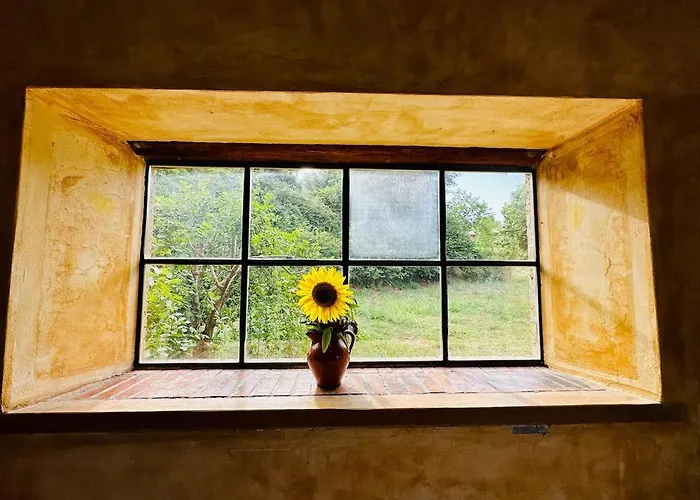 Il Picchio E La Stella Bagnoregio