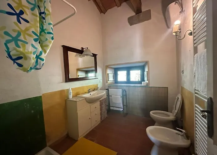 Il Picchio E La Stella *